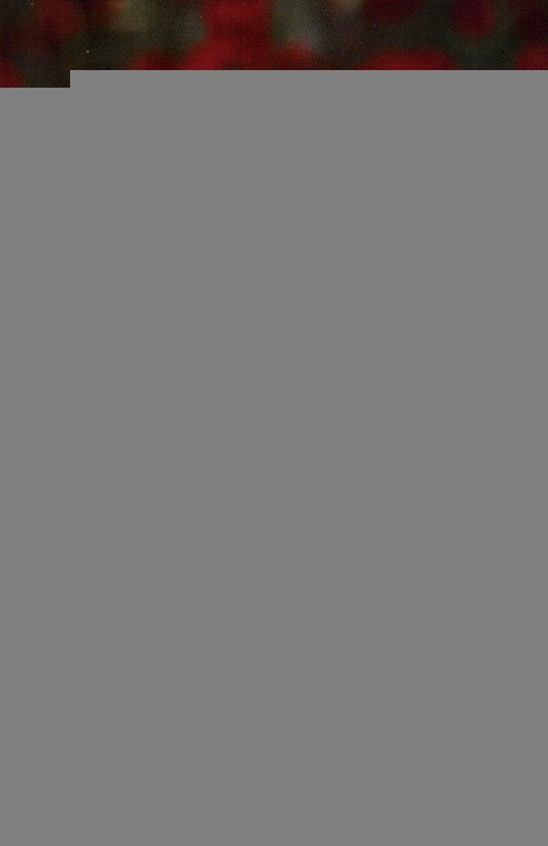 ALIVIATE EL CORAZON | SANTIAGO ROJAS