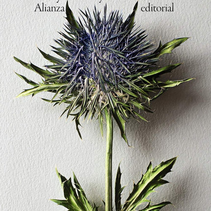 LADY SUSAN Y OTRAS NOVELAS | JANE AUSTEN