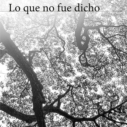 LO QUE NO FUE DICHO | JOSE ZULETA ORTIZ