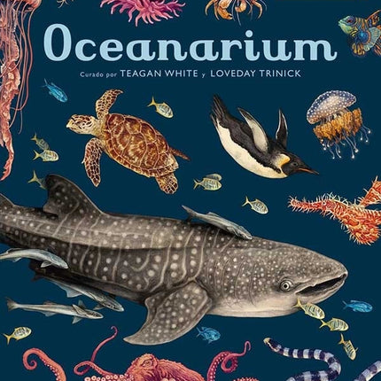 OCEANARIUM | TEGAN WHITE