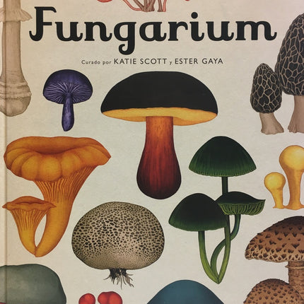 FUNGARIUM | KATIE SCOTT