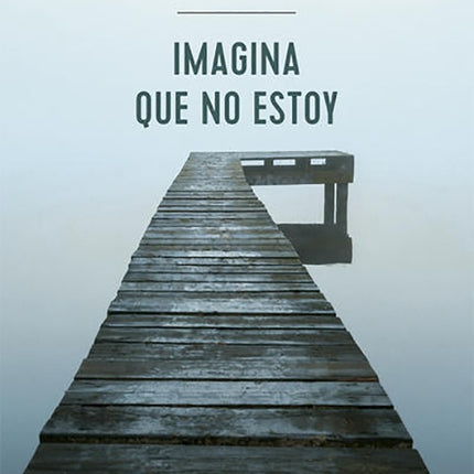 IMAGINA QUE NO ESTOY | ADAM HASLETT