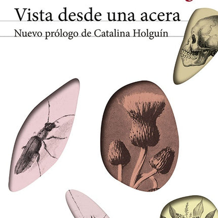 VISTAS DESDE UNA ACERA | FERNANDO MOLANO VARGAS