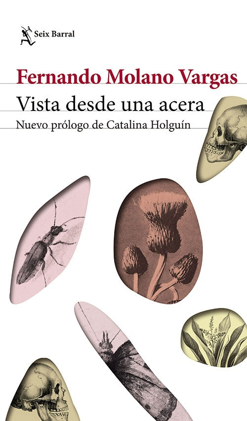 VISTAS DESDE UNA ACERA | FERNANDO MOLANO VARGAS