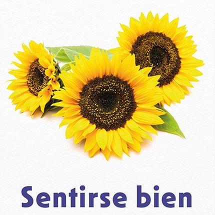 SENTIRSE BIEN | DAVID D. BURNS