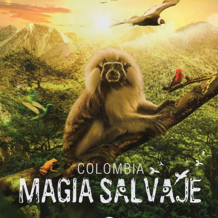COLOMBIA MAGIA SALVAJE | ARTISTAS VARIOS