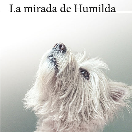 LA MIRADA DE HUMILDA | ALONSO SANCHEZ BAUTE