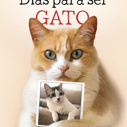 DIAS PARA SER GATO | PEDRO ZUAZUA GIL