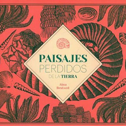 PAISAJES PERDIDOS DE LA TIERRA | AINA BESTARD