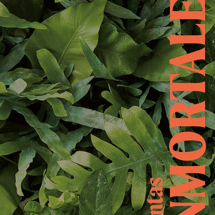 PLANTAS INMORTALES | JO LAMBELL