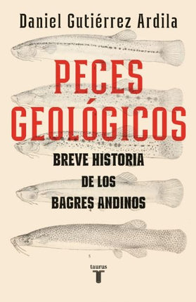 PECES GEOLOGICOS | DANIEL GUTIERREZ ARDILA