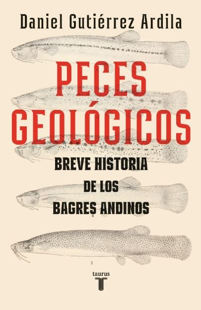 PECES GEOLOGICOS | DANIEL GUTIERREZ ARDILA