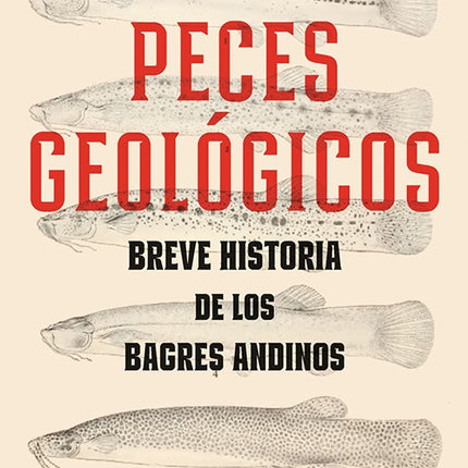 PECES GEOLOGICOS | DANIEL GUTIERREZ ARDILA