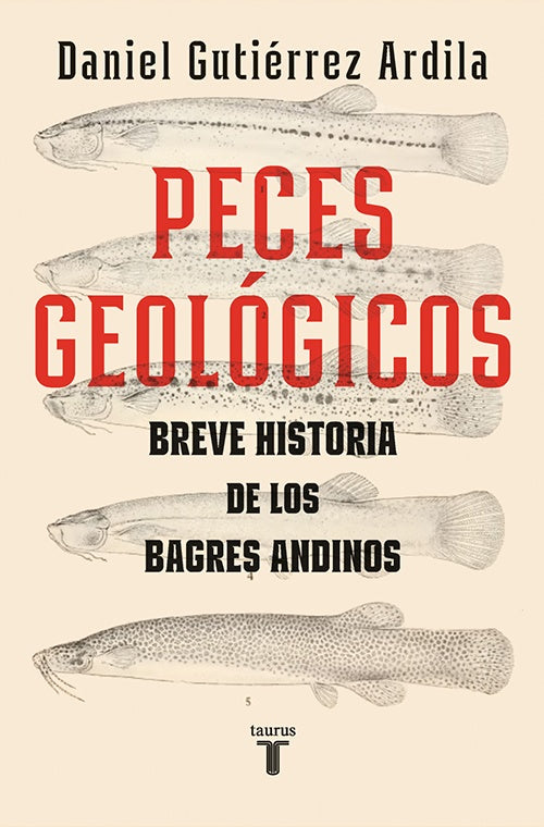 PECES GEOLOGICOS | DANIEL GUTIERREZ ARDILA