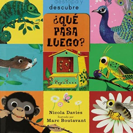 QUE PASA LUEGO? | NICOLA DAVIES