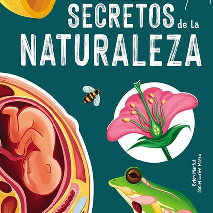 DESCUBRE LOS SECRETOS DE LA NATURALEZA | BELEN MARTUL