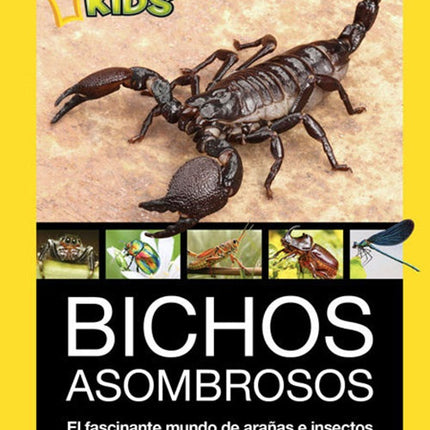 BICHOS ASOMBROSOS | NATIONAL GEOGRAPHIC