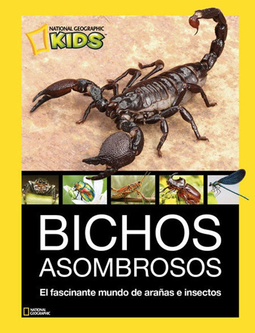 BICHOS ASOMBROSOS | NATIONAL GEOGRAPHIC