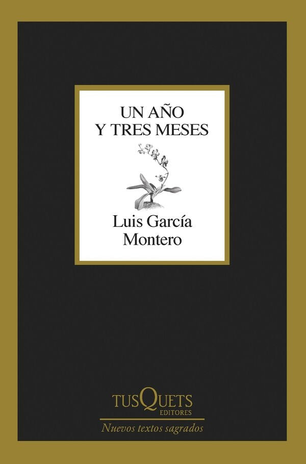 UN AÑO Y TRES MESES | LUIS GARCIA MONTERO