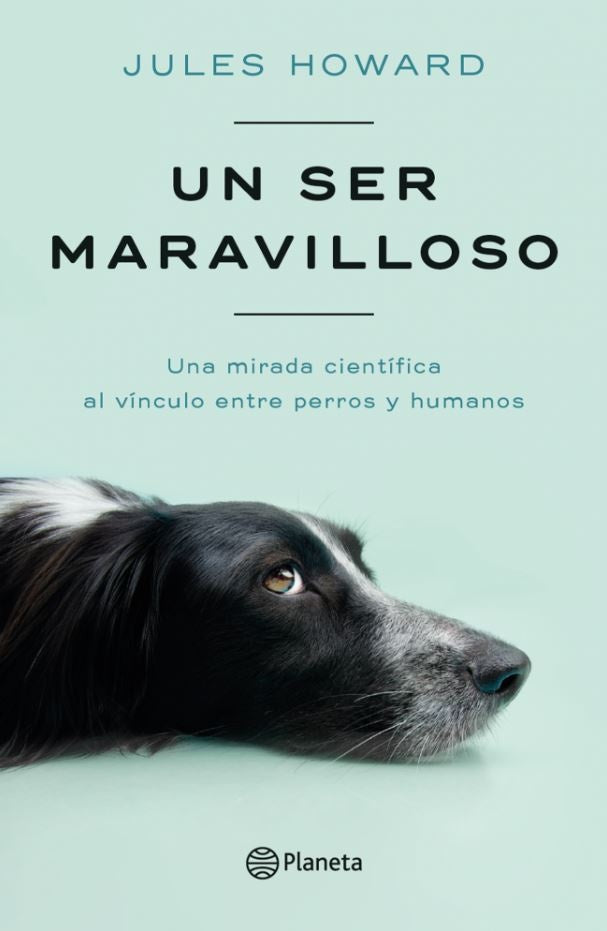 UN SER MARAVILLOSO | JULES HOWARD