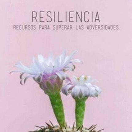 RESILIENCIA RECURSOS PARA SUPERAR LAS ADVERSIDADES | GLORIA HUSSMANN