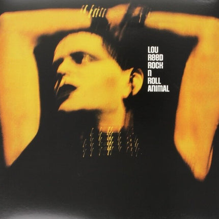 ROCK & ROLL ANIMAL | LOU REED