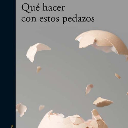 QUE HACER CON ESTOS PEDAZOS | PIEDAD BONNETT