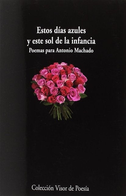 ESTOS DIAS AZULES Y ESTE SOL DE LA INFANCIA | AUTORES VARIOS