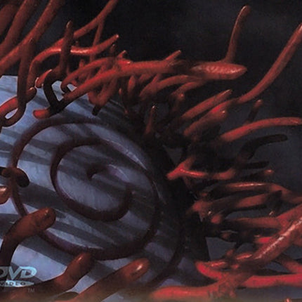 SCHISM | TOOL