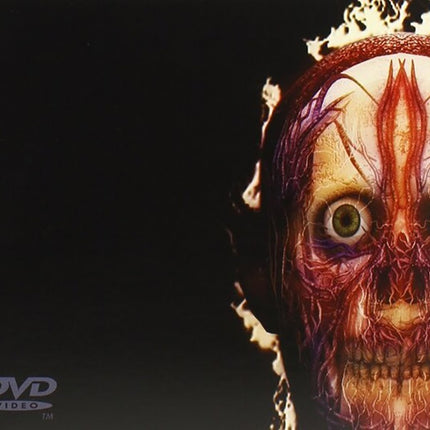 PARABOLA TOOL | TOOL