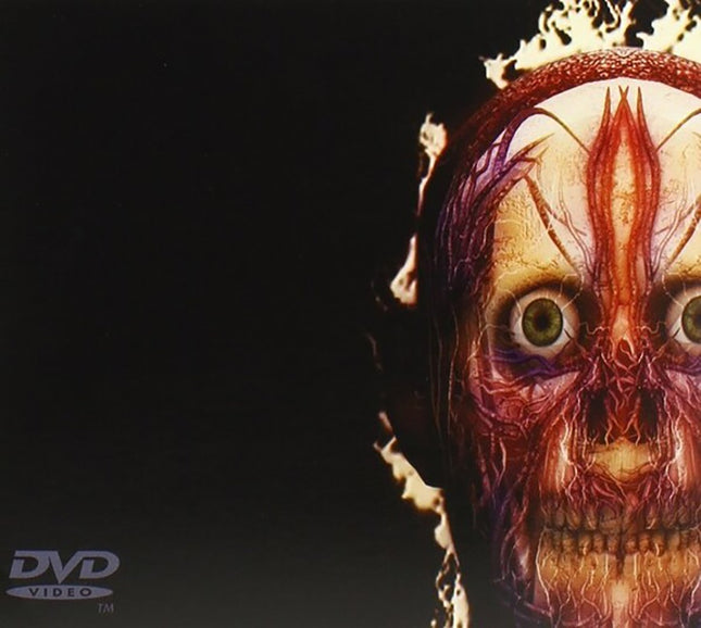 PARABOLA TOOL | TOOL