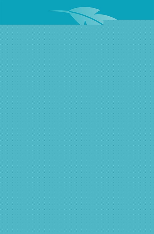 REIKI ANGELICAL EN CASA | TERESA SALAZAR