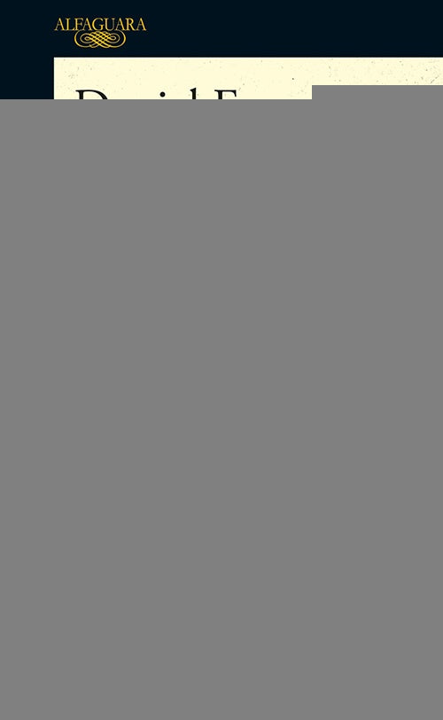 RECUERDOS DEL RIO VOLADOR | DANIEL FERREIRA