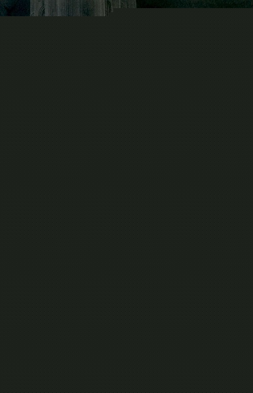 SEÑOR DE LOS ANILLOS N° 02/03 LAS DOS TORRES | J.R.R. TOLKIEN