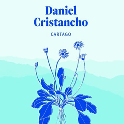 CARTAGO | DANIEL CRISTANCHO
