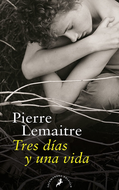 TRES DIAS Y UNA VIDA | PIERRE LEMAITRE