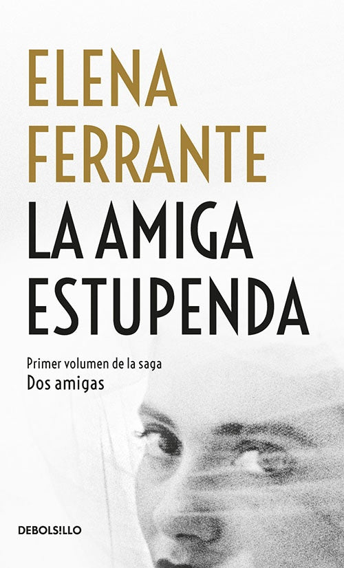 DOS AMIGAS I LA AMIGA ESTUPENDA | ELENA FERRANTE