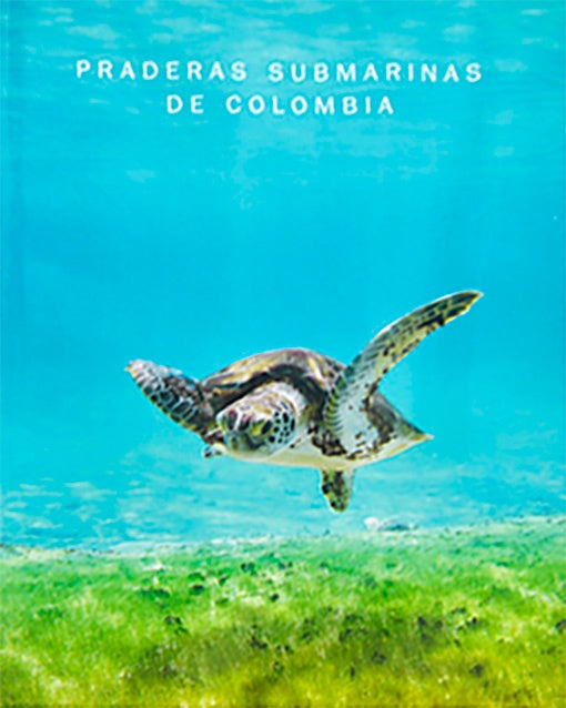 PRADERAS SUBMARINAS DE COLOMBIA | JUAN MANUEL DIAZ MERLANO