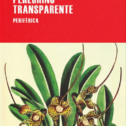 PEREGRINO TRANSPARENTE | JUAN CARDENAS