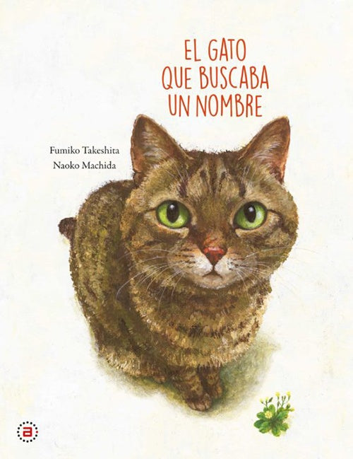 EL GATO QUE BUSCABA UN NOMBRE | FUMIKO TAKESHITA