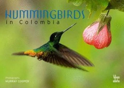 HUMMINGBIRDS IN COLOMBIA