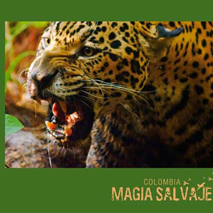 COLOMBIA MAGIA SALVAJE | MIKE SLEE