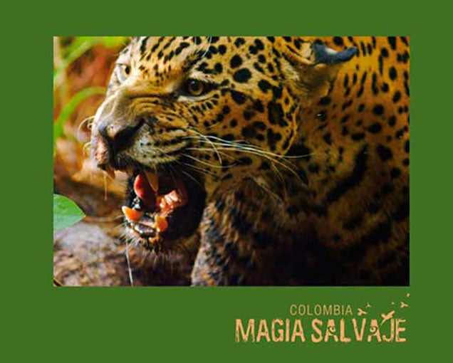 COLOMBIA MAGIA SALVAJE | MIKE SLEE