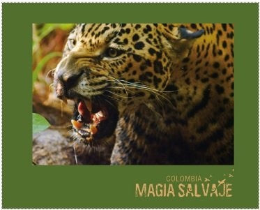 COLOMBIA MAGIA SALVAJE | MIKE SLEE