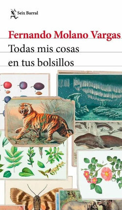 TODAS MIS COSAS EN TUS BOLSILLOS | FERNANDO MOLANO VARGAS