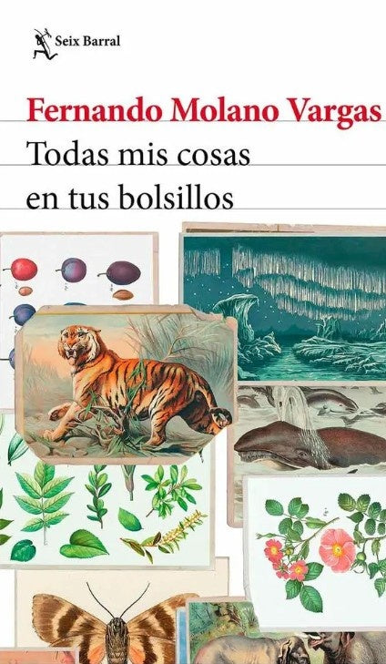 TODAS MIS COSAS EN TUS BOLSILLOS | FERNANDO MOLANO VARGAS