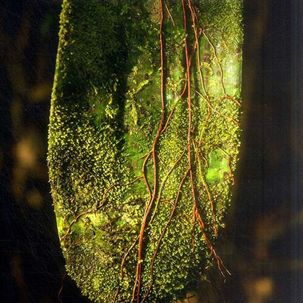 MICROECOSISTEMAS DE COLOMBIA | JUAN MANUEL DIAZ MERLANO