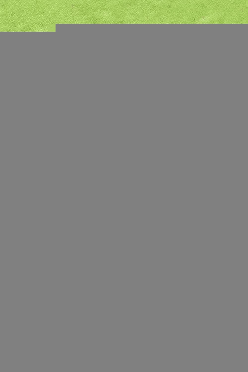 TODO EL MUNDO SABE QUE TU MADRE ES UNA BRUJA | RIVKA GALCHEN