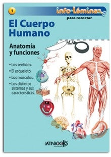 INFOLAMINAS EL CUERPO HUMANO