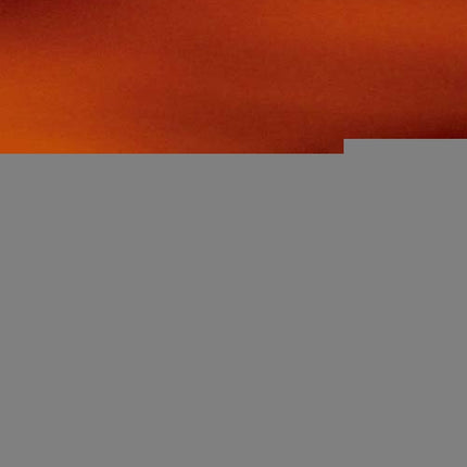 ESTRATEGIA DEL AVE FENIX, LA | SANTIAGO ROJAS